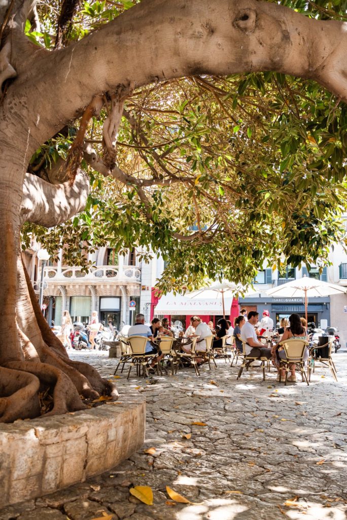 LaMalvasiaMallorca_96